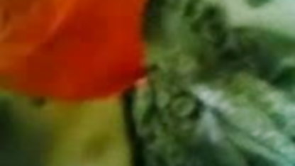 स्मृति के लिए caresses इंग्लिश सेक्सी पिक्चर वीडियो